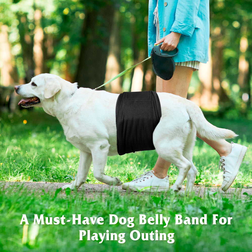 Pilviset 5 Pack Dog Diapers leak-proof design protects furniture and surfaces during quick trips.