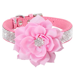 Pimaodog rhinestone collar pink full view shows dazzling style for daily walks.