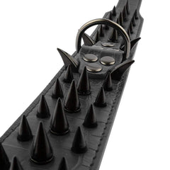 Pimaodog Sharp Spiked Collar nickel hardware—secure D-ring for dependable walks.