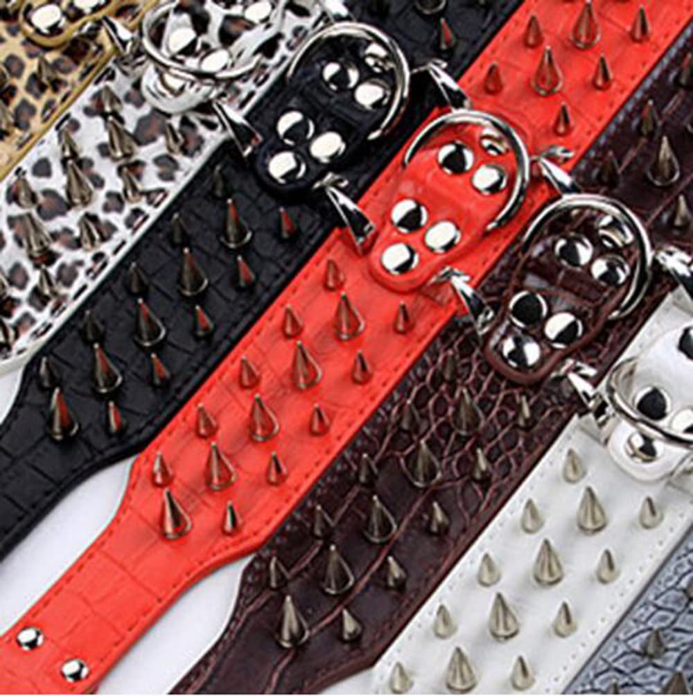 Pimaodog sharp spiked collar on large dog demonstrates secure fit