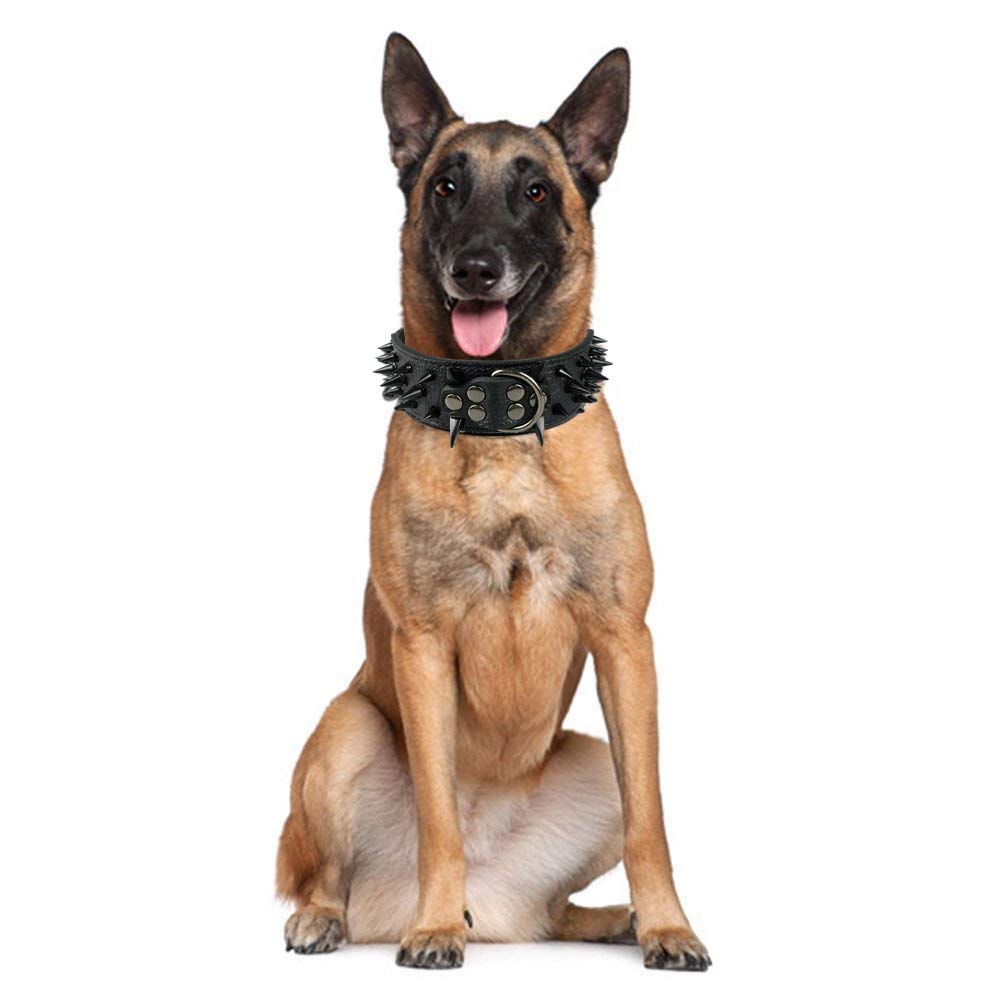 Pimaodog Sharp Spiked Collar pink close-up—detailed studs add bold style.
