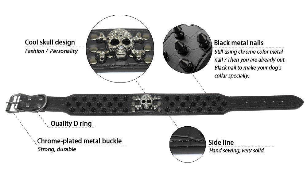 Pimaodog studded collar D-ring detail highlights a secure leash connection for strong dogs.