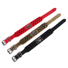Pimaodog studded collar gold-brown hardware emphasizes stylish, lightweight daily use.