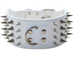 Pimaodog studded collar front view with nickel-plated hardware for secure training