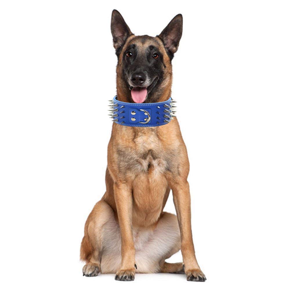 Pimaodog studded collar side view showing 3-inch wide faux leather durability