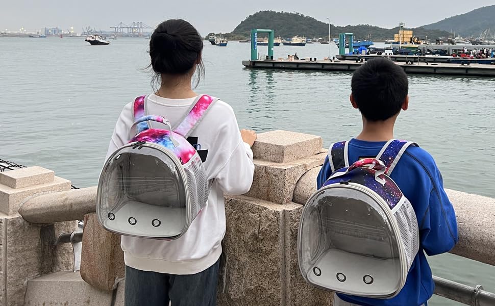 Pimoka compact travel pet backpack sized for two small pets.