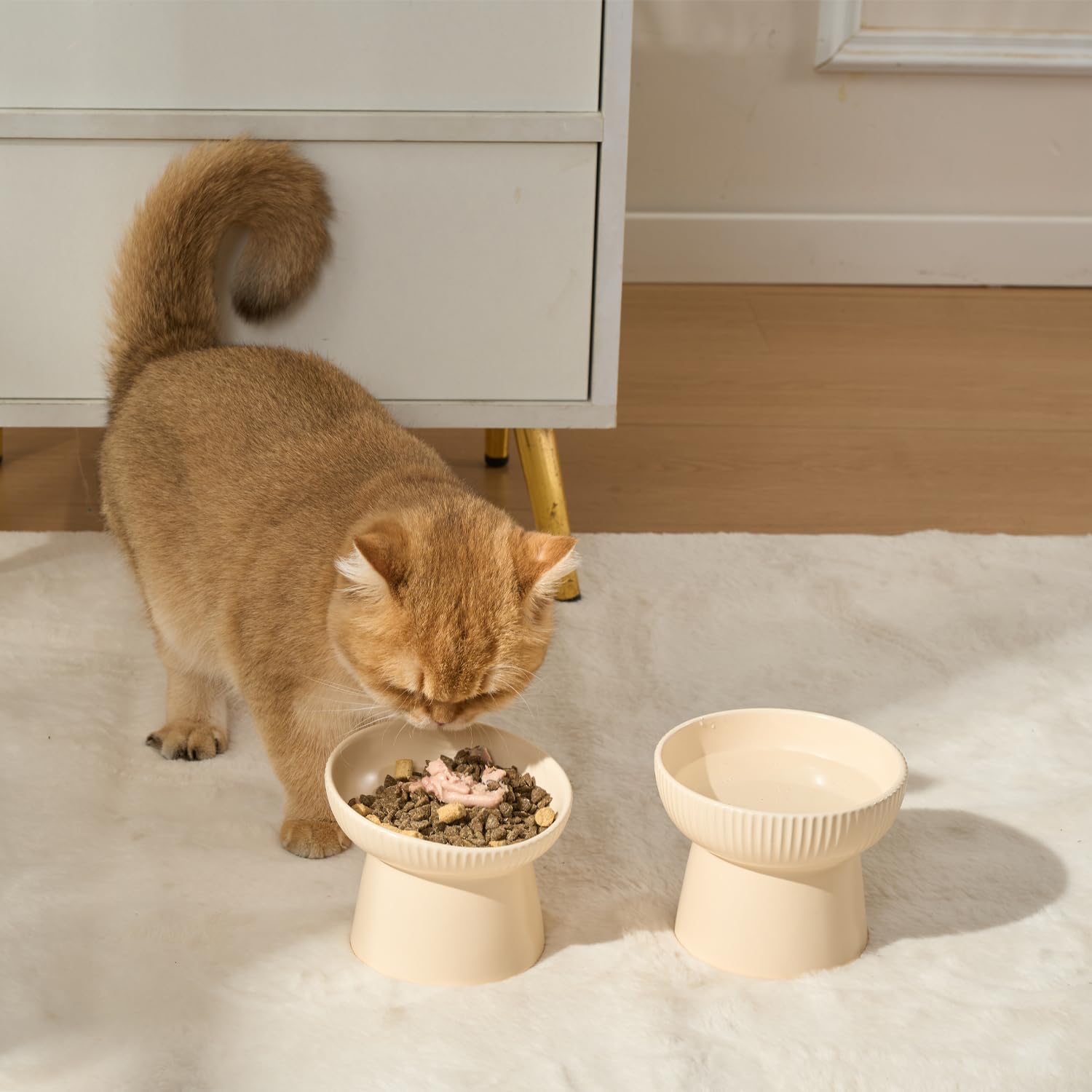 Pin Forest purple cat bowl fits indoor feeding setups.