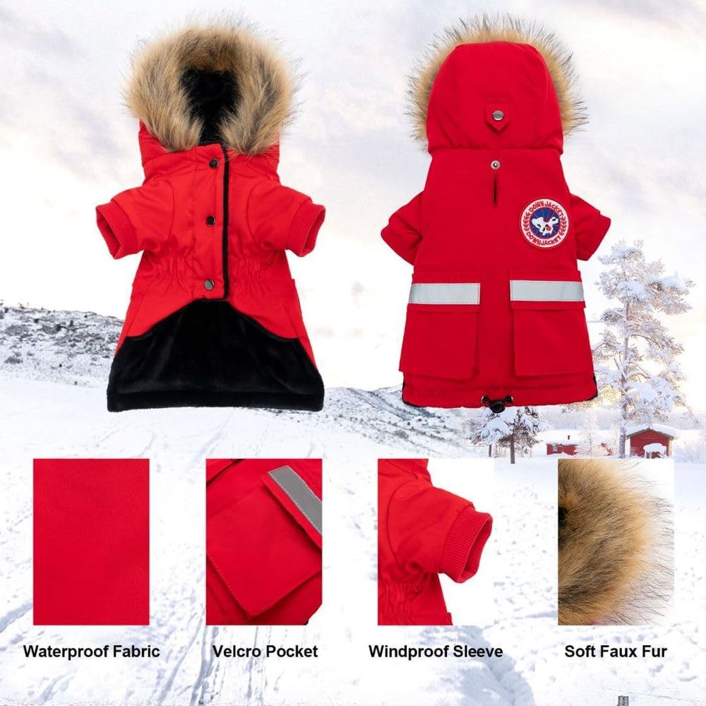 PINA small dog coat easy-on-off with button closure.