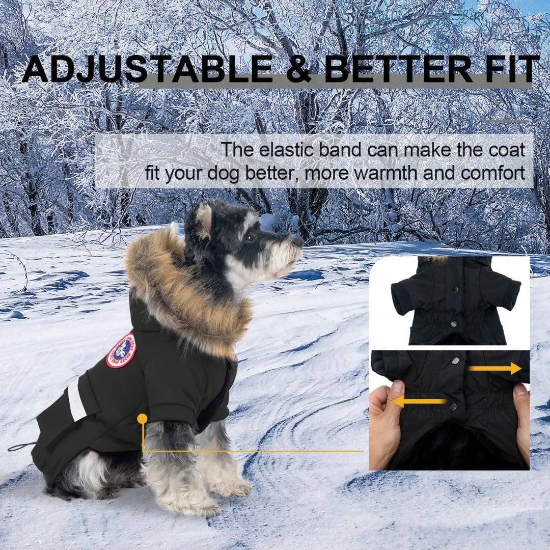 PINA coat with faux fur hood protects neck and head in cold