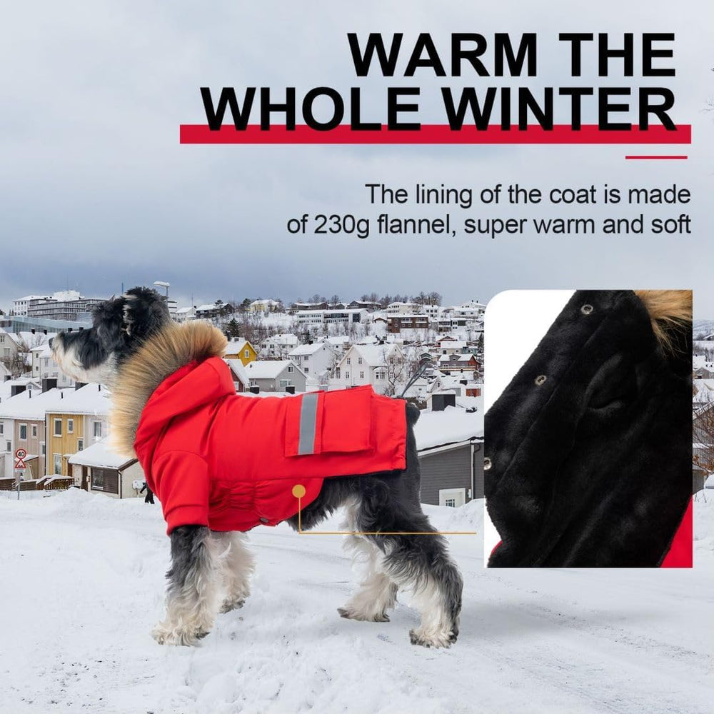 PINA small dog coat features a faux fur hood for added warmth.