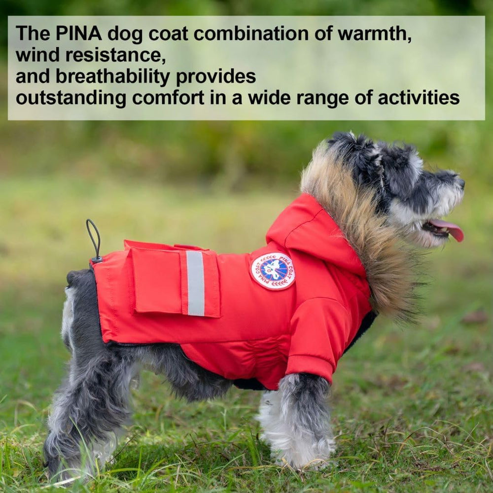PINA small dog coat leash hole enables harness walking safely.