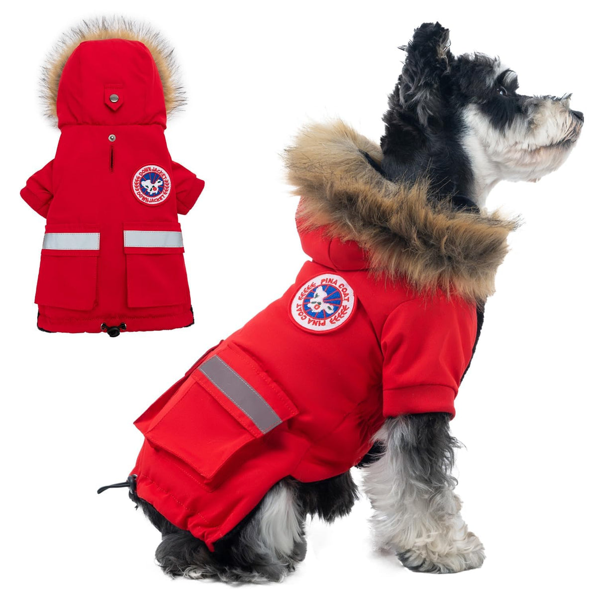 PINA small dog coat with waterproof outer layer protects against rain and wind.