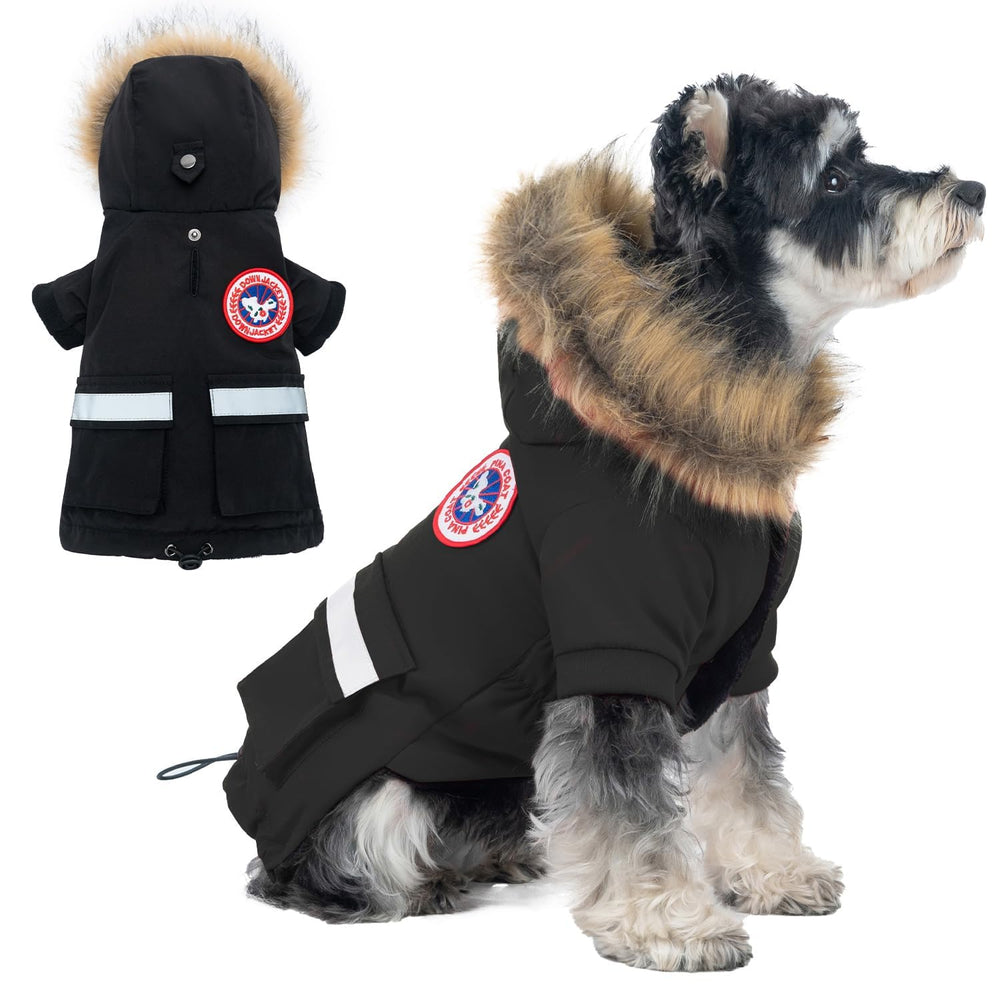 PINA small dog coat waterproof windproof keeps tiny dogs dry on walks