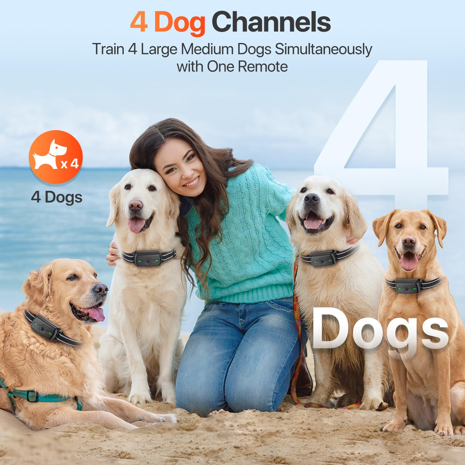 PINCOFIO 4-channel design enables training multiple dogs simultaneously