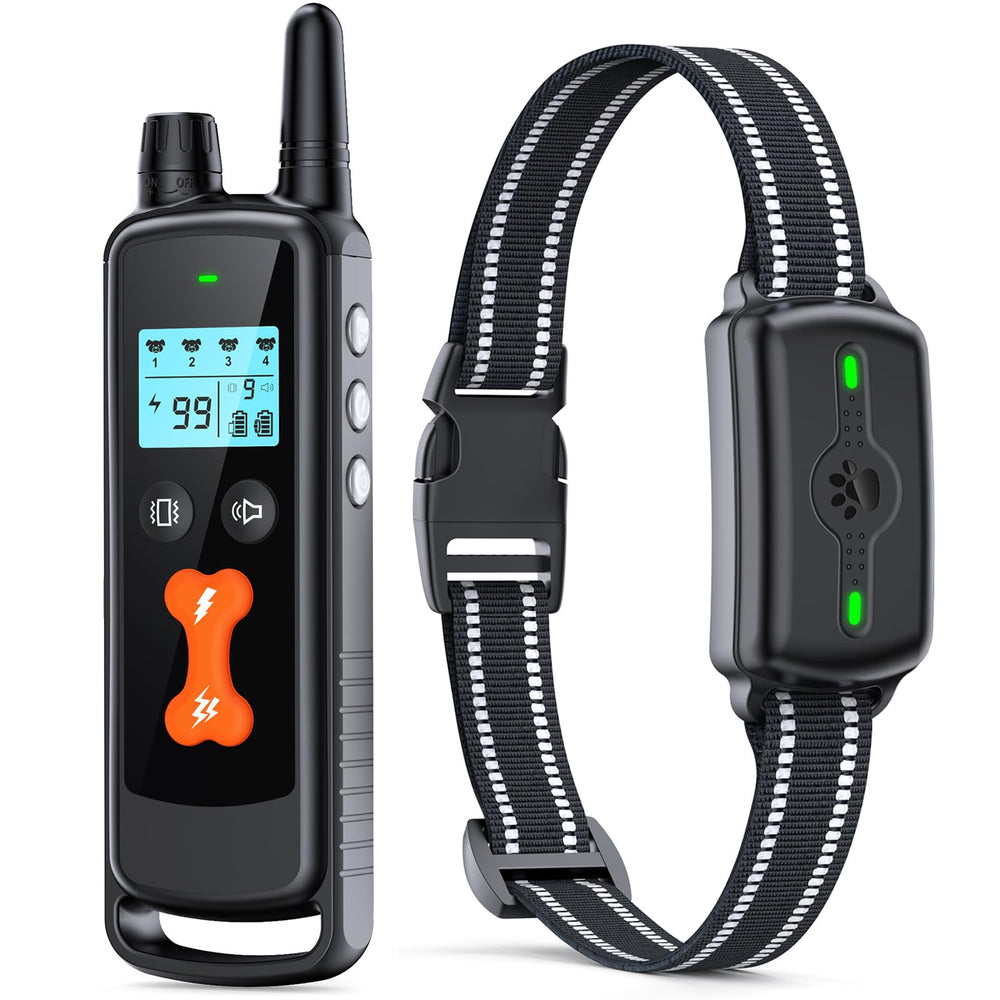PINCOFIO dog training collar on a dog for effective obedience training