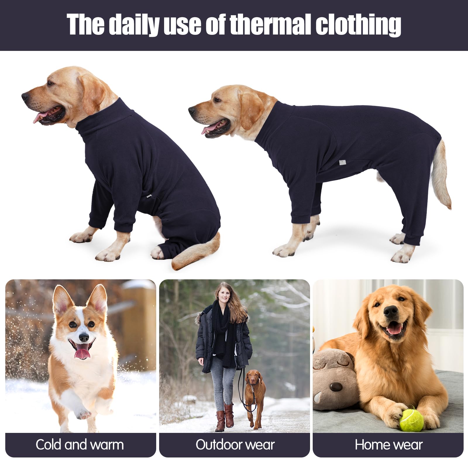 Pinellia dog coat during outdoor walk offering wind protection