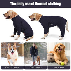 Pinellia dog coat during outdoor walk offering wind protection