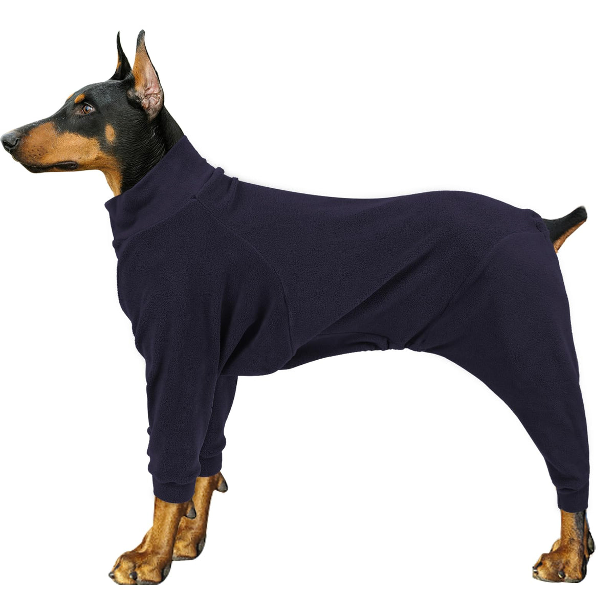 Pinellia fleece dog sweater on dog for warm daily walks