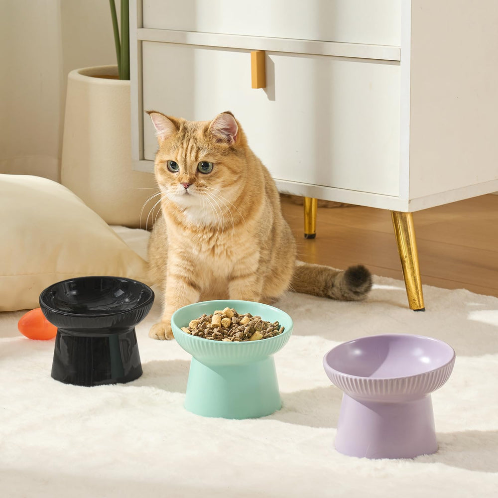 Pin Forest suitable for small cats and dogs in multi-pet homes