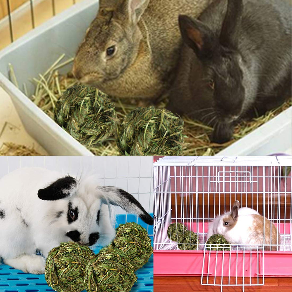 PINVNBY 6-pack rabbit grass balls packaging highlights durable, reusable chew toys.