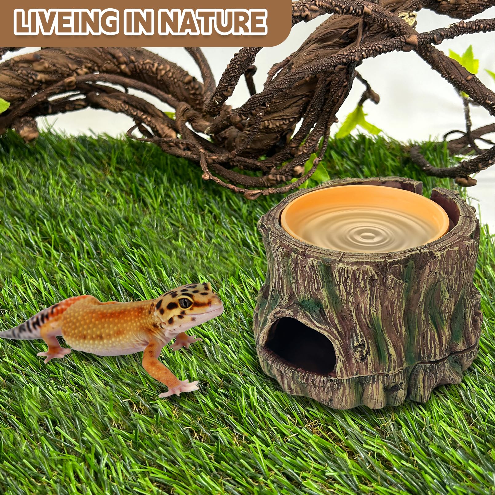 PINVNBY 6.3 x 6.3 inch hide offers compact shelter for small reptiles.