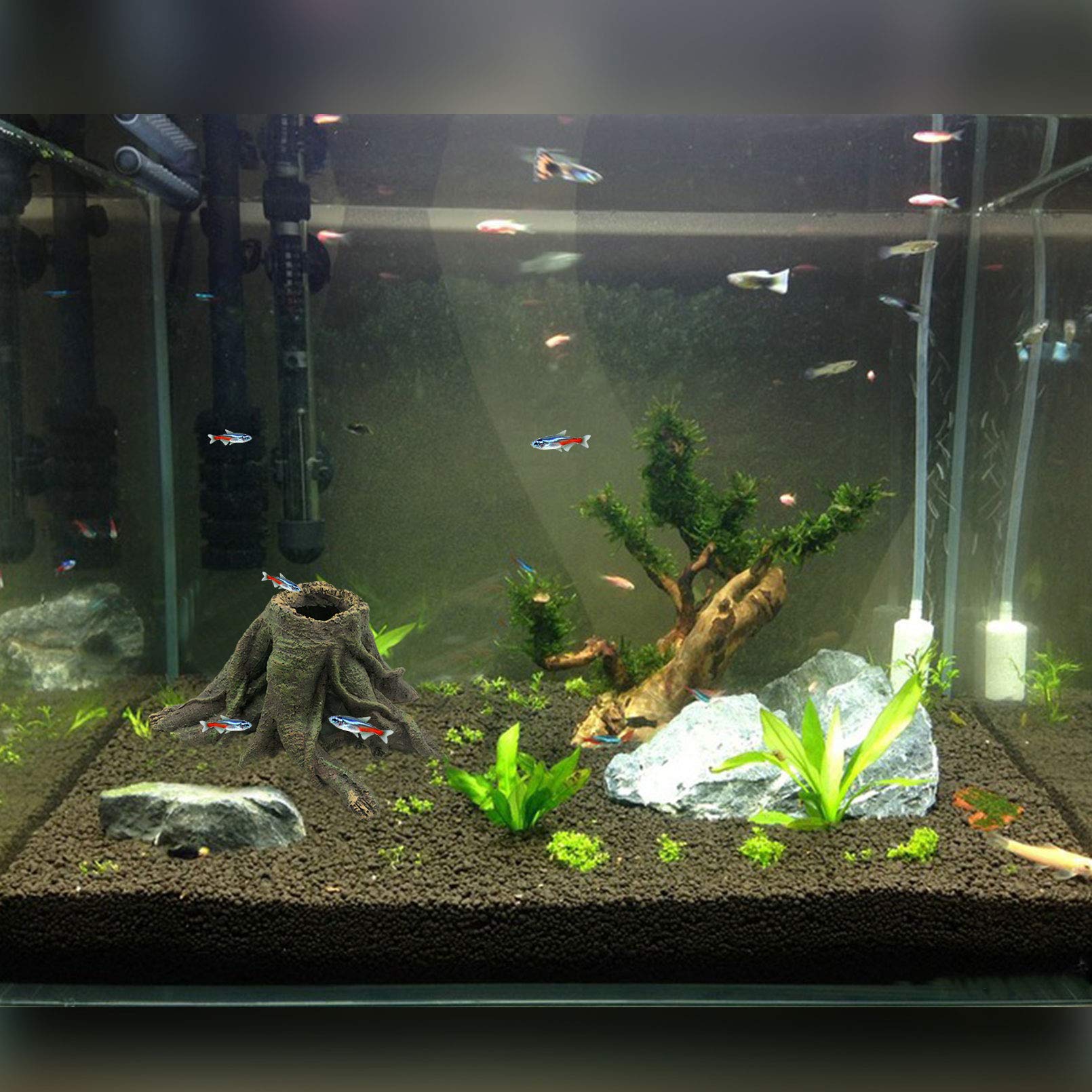PINVNBY arboreal reptile tank setup enhances climbing and hide spots.