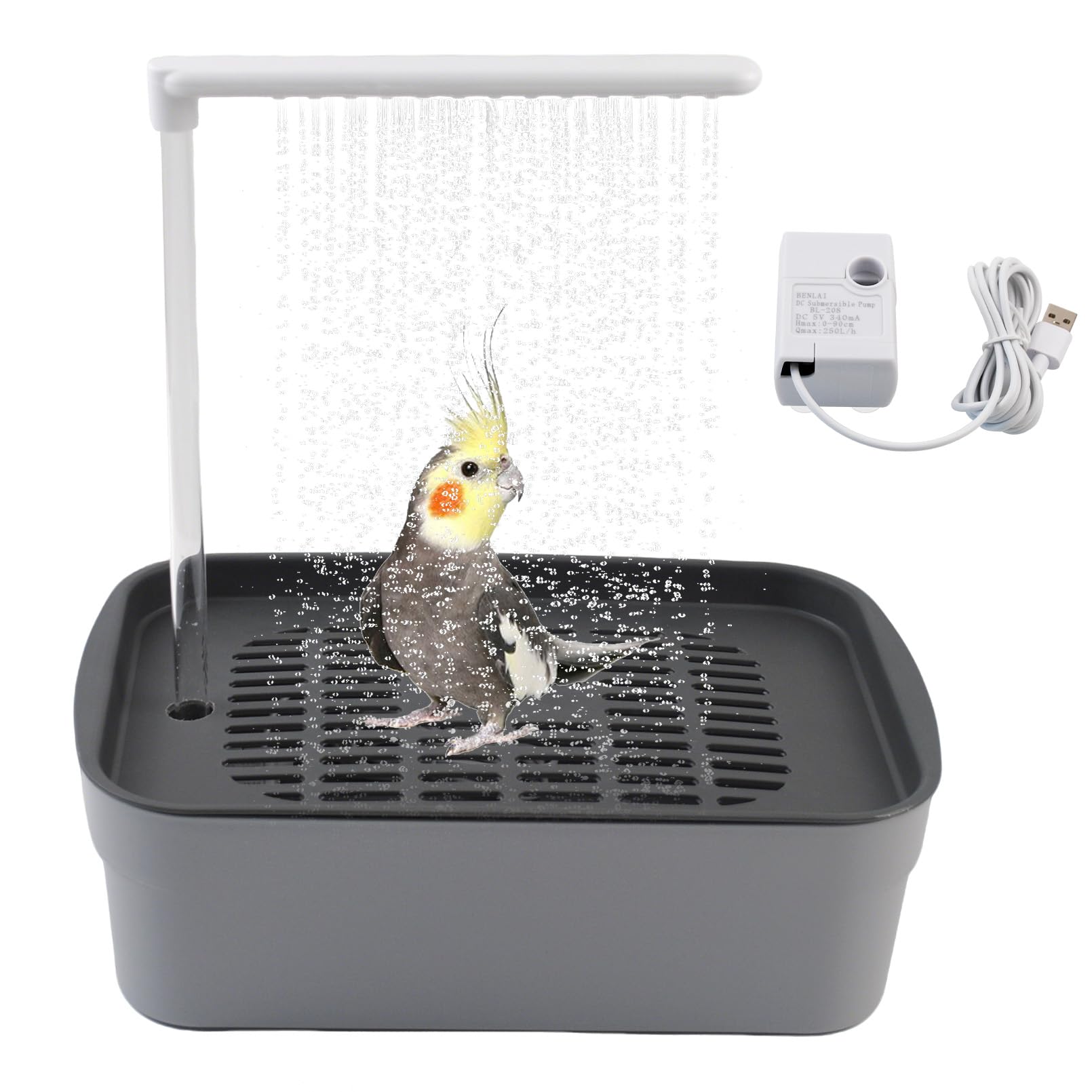 PINVNBY automatic-bird-bath-pump demonstrates continuous circulating water for a refreshing bath.