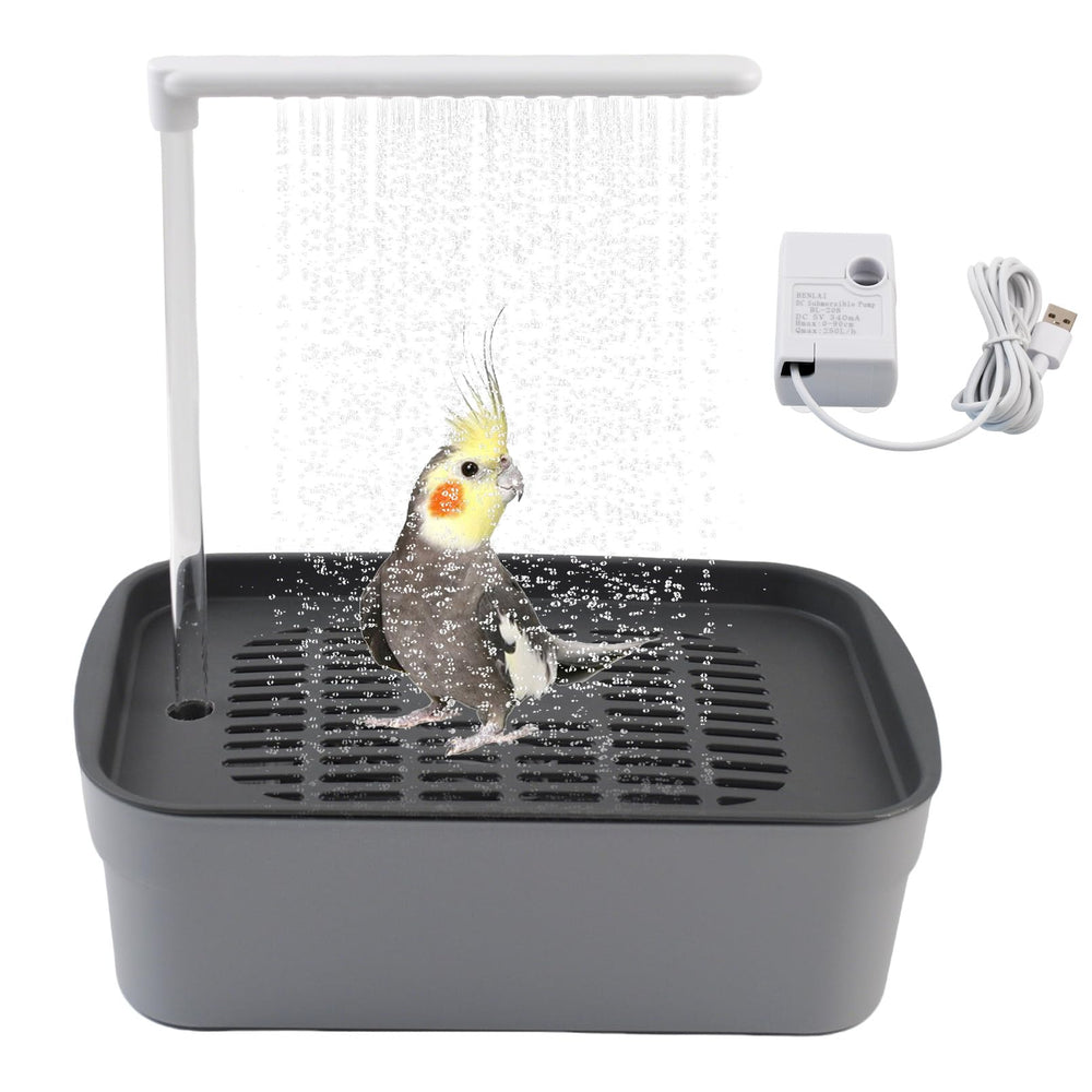 PINVNBY automatic-bird-bath-pump demonstrates continuous circulating water for a refreshing bath.