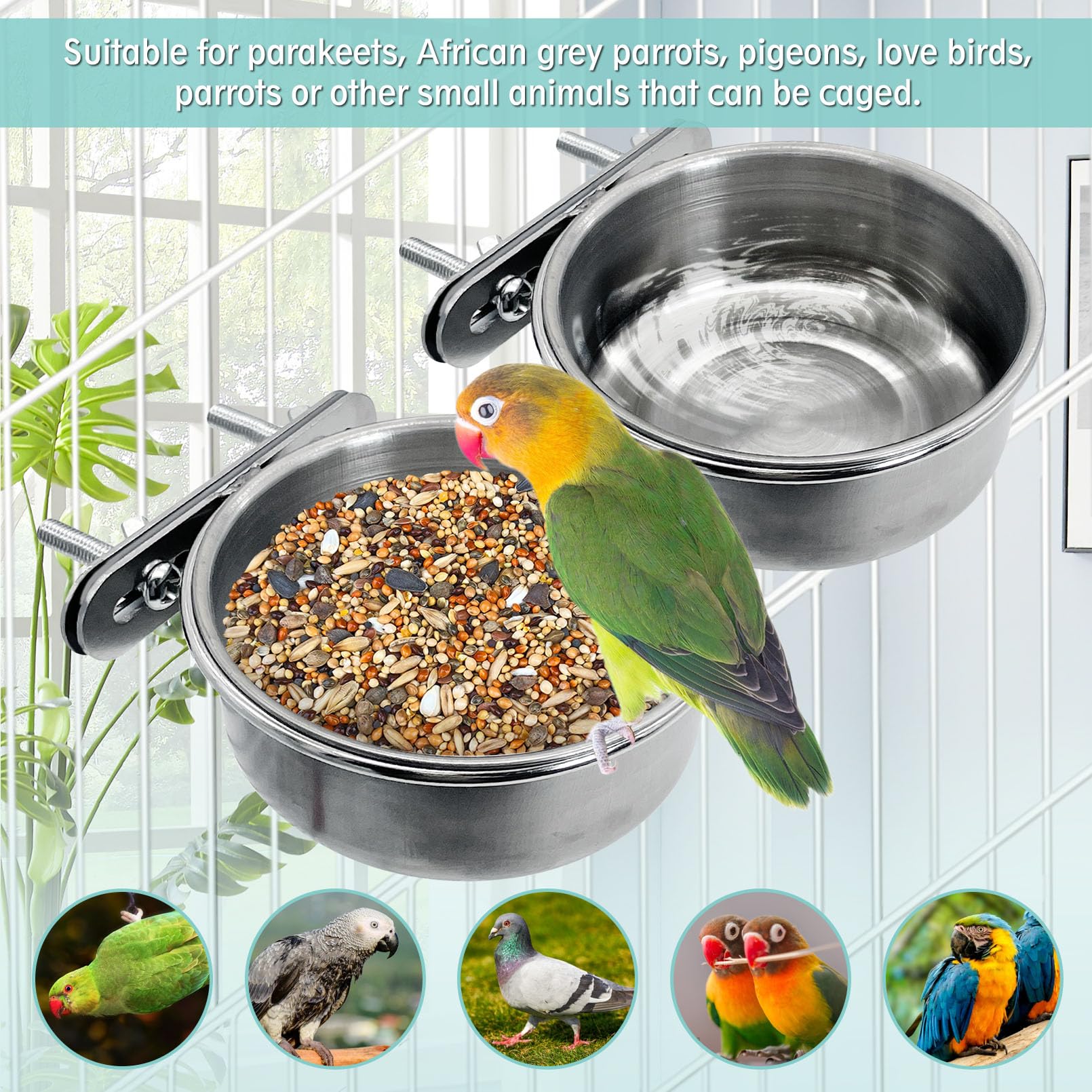 PINVNBY wide-application bowl works with parrots, pigeons, and small pets.