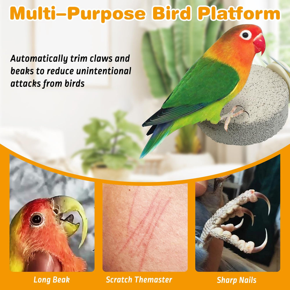 PINVNBY parrot perch with rough surface helps birds grip and trim beaks naturally.