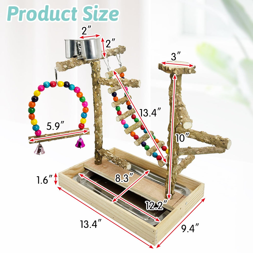PINVNBY Bird Playground colorful swing and ladder for engaging exercise and play