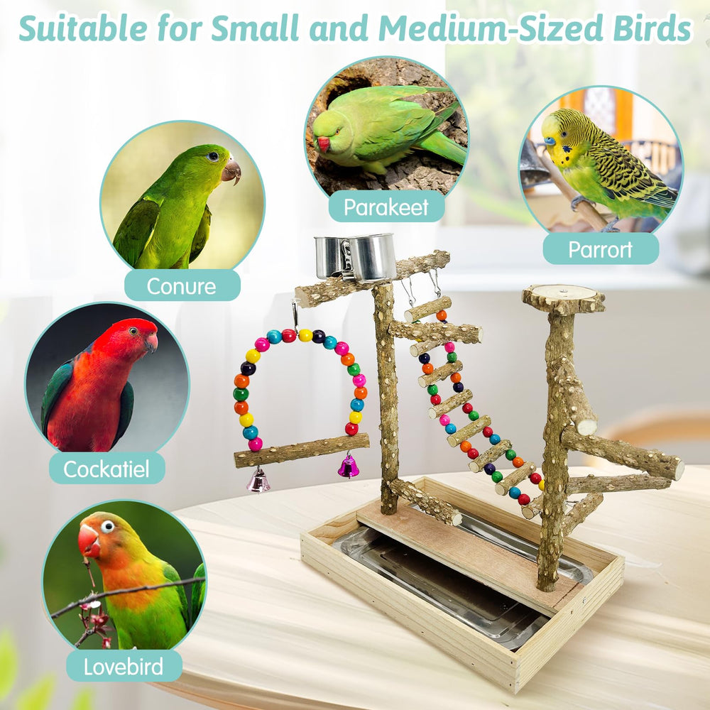 PINVNBY Bird Playground removable tray for quick cleaning after sessions