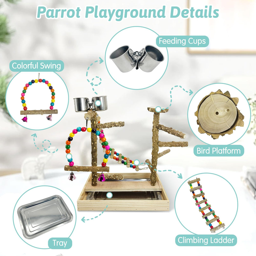 PINVNBY Bird Playground stainless steel cups for easy feeding during play
