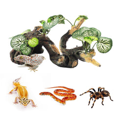 PINVNBY resin branch provides safe climbing surface for crested geckos.