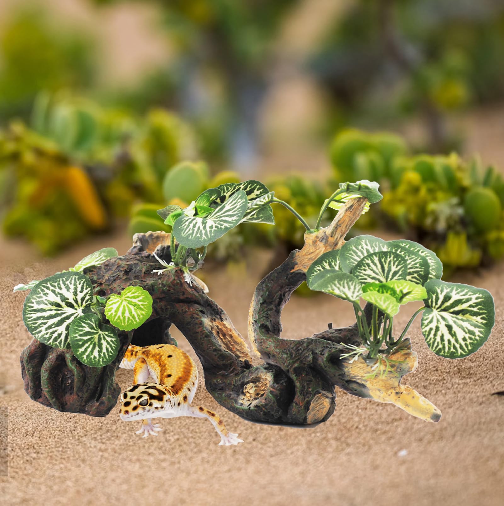 PINVNBY small reptiles compatibility suits geckos, snakes, and lizards.