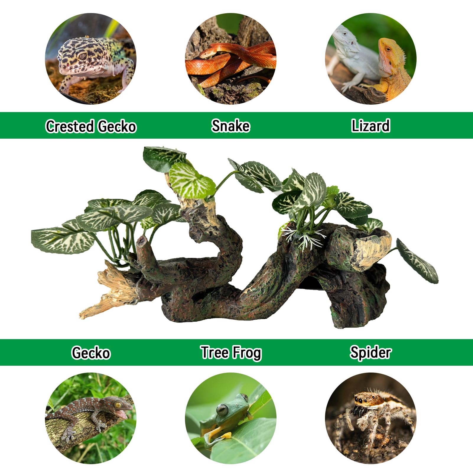 PINVNBY terrarium decor enhances habitat aesthetics and functional enrichment.