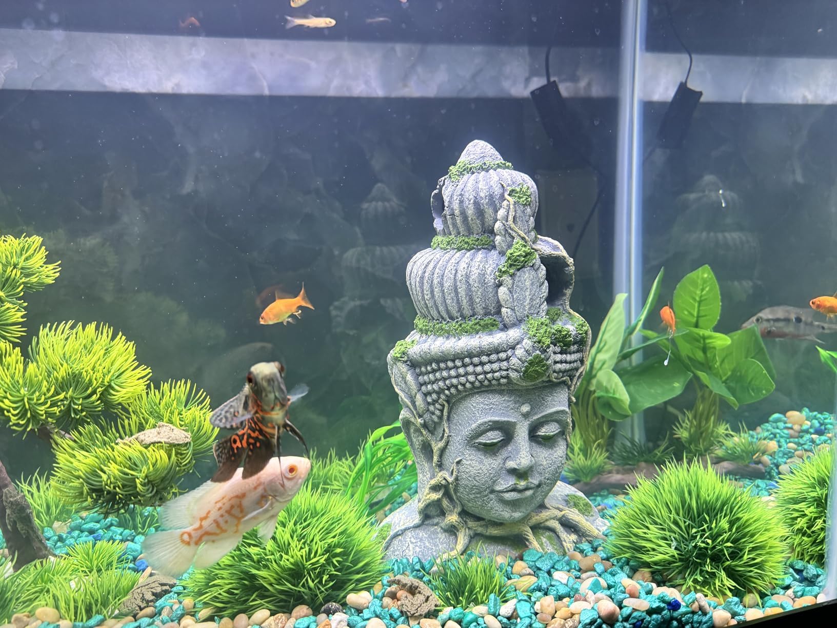 PINVNBY Buddha head sleeping nook invites calm retreat for small fish.