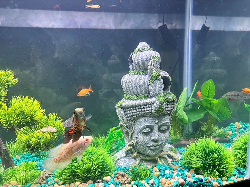 PINVNBY Buddha head sleeping nook invites calm retreat for small fish.