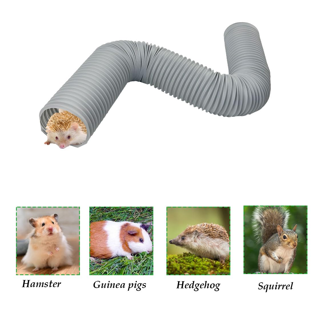 PINVNBY carrot toy and apple sticks reward curious pets with safe treats.