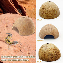 PINVNBY coconut-hut-natural-material emphasizes natural decor that blends with terrariums.