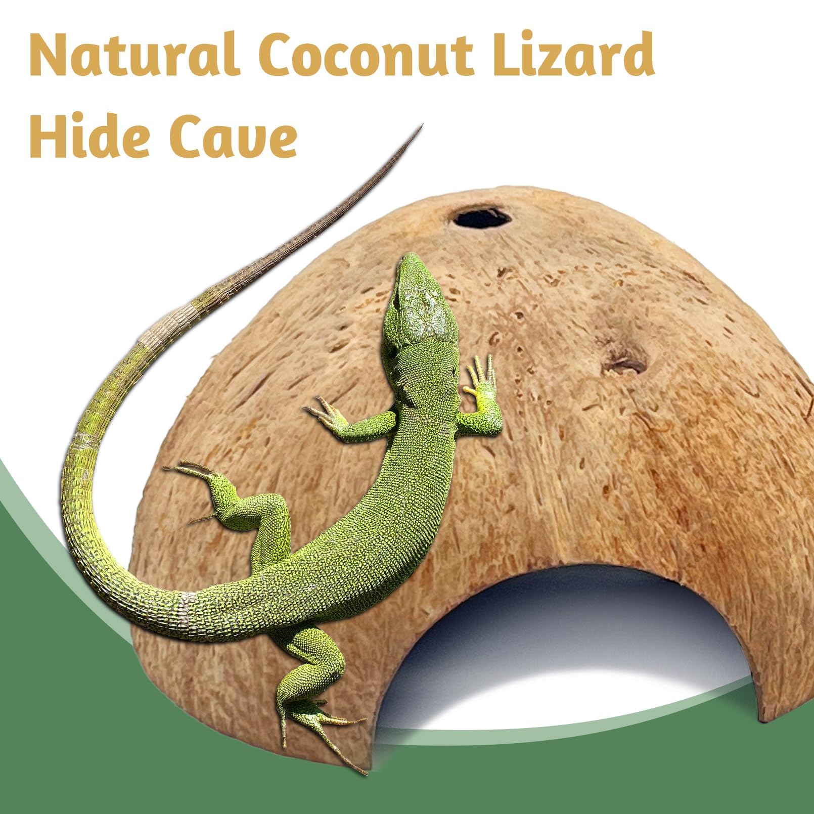 PINVNBY 6pcs-pack demonstrates versatile hides for varied setups.