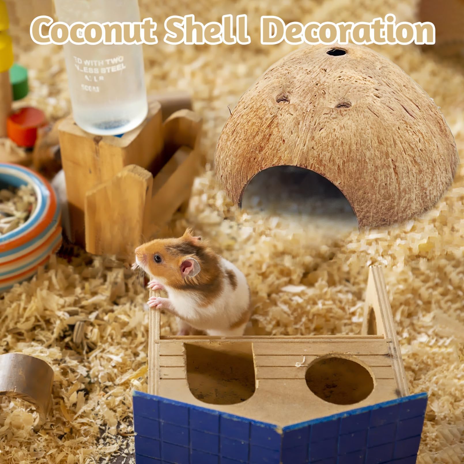 PINVNBY coconut-hut-terrarium-decor adds a natural focal point for your habitat.