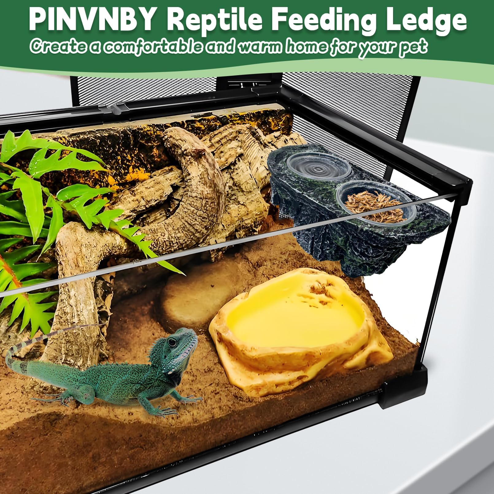 PINVNBY compatible reptile setup suitable for geckos, lizards, snakes