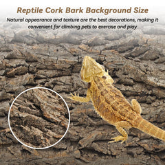 PINVNBY cork background bearded dragon display - natural look enhances terrarium decor and grip.