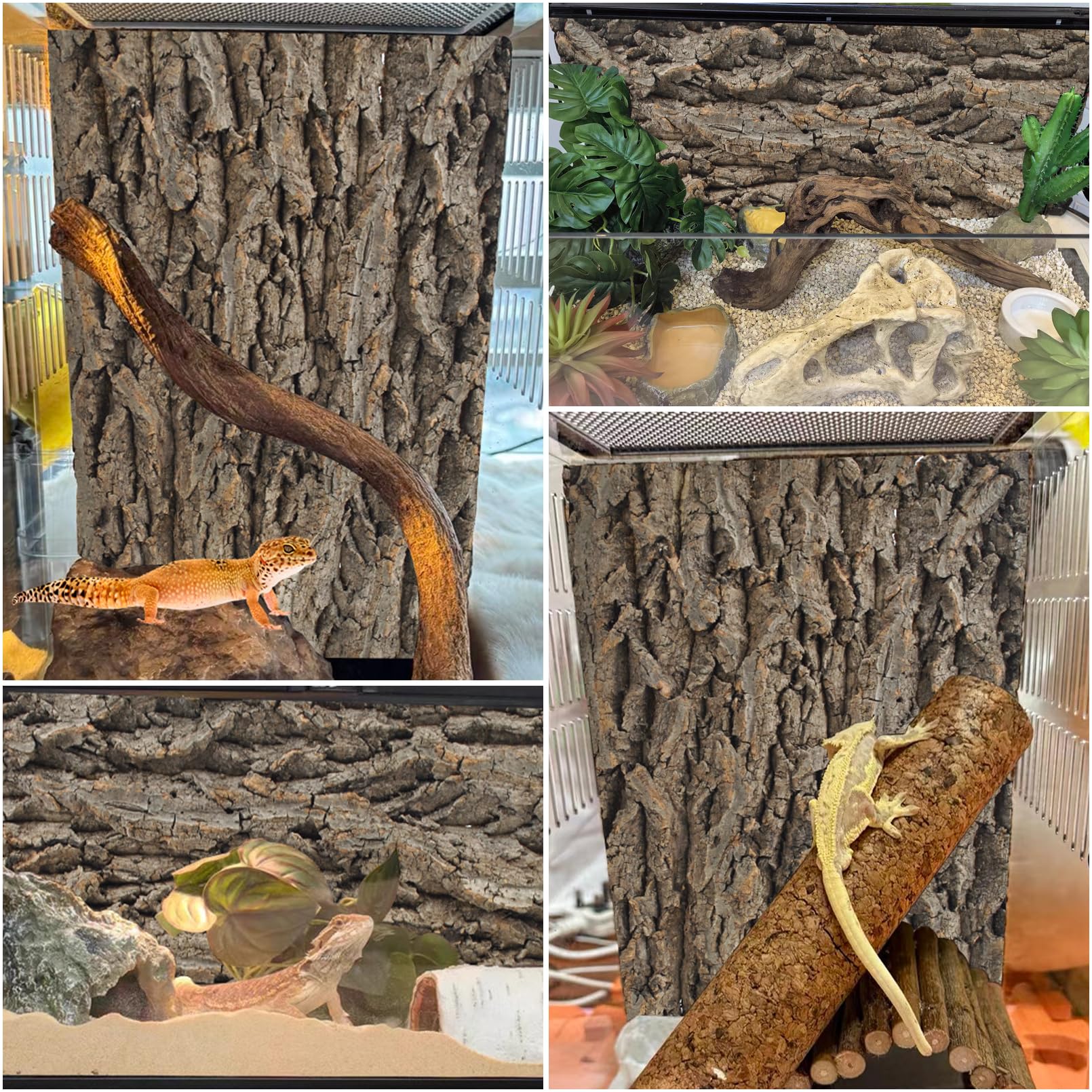 PINVNBY cork background easy-clean - wipe or brush dust for a clean terrarium look.