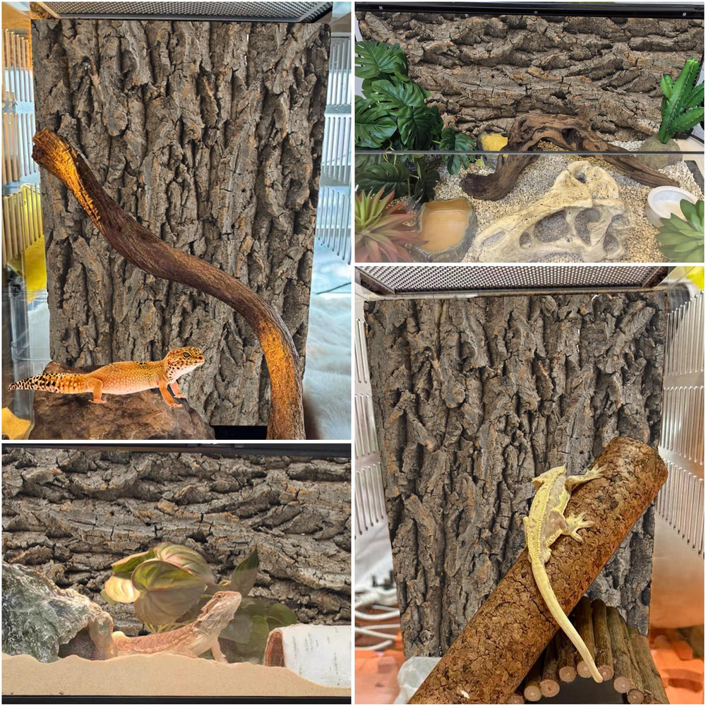 PINVNBY cork background easy-clean - wipe or brush dust for a clean terrarium look.
