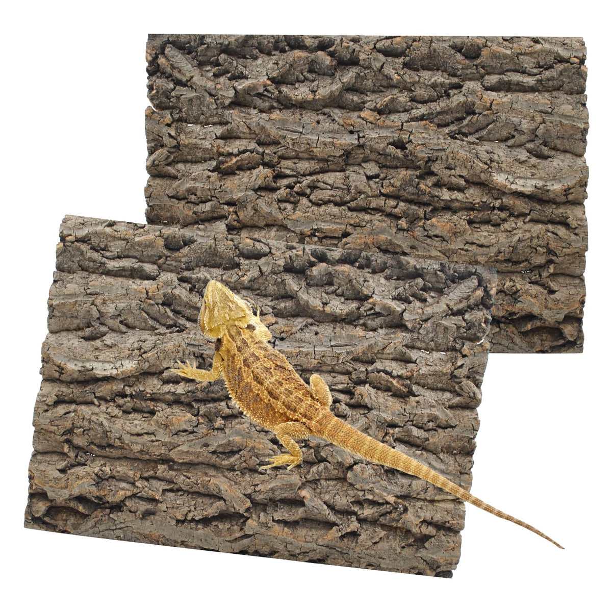 PINVNBY cork bark backdrop terrarium wall demonstrates natural habitat aesthetic and easy installation.