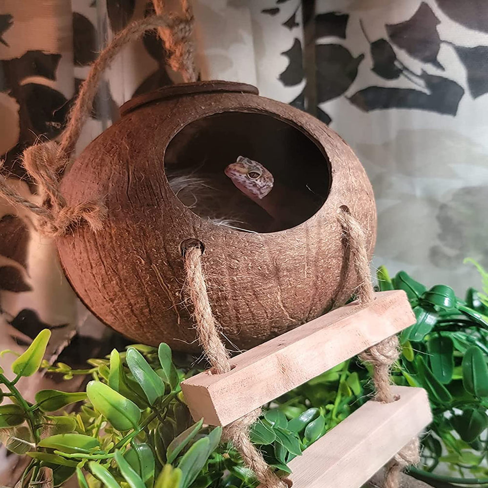 PINVNBY crested gecko hideout front view emphasizes resting nooks.