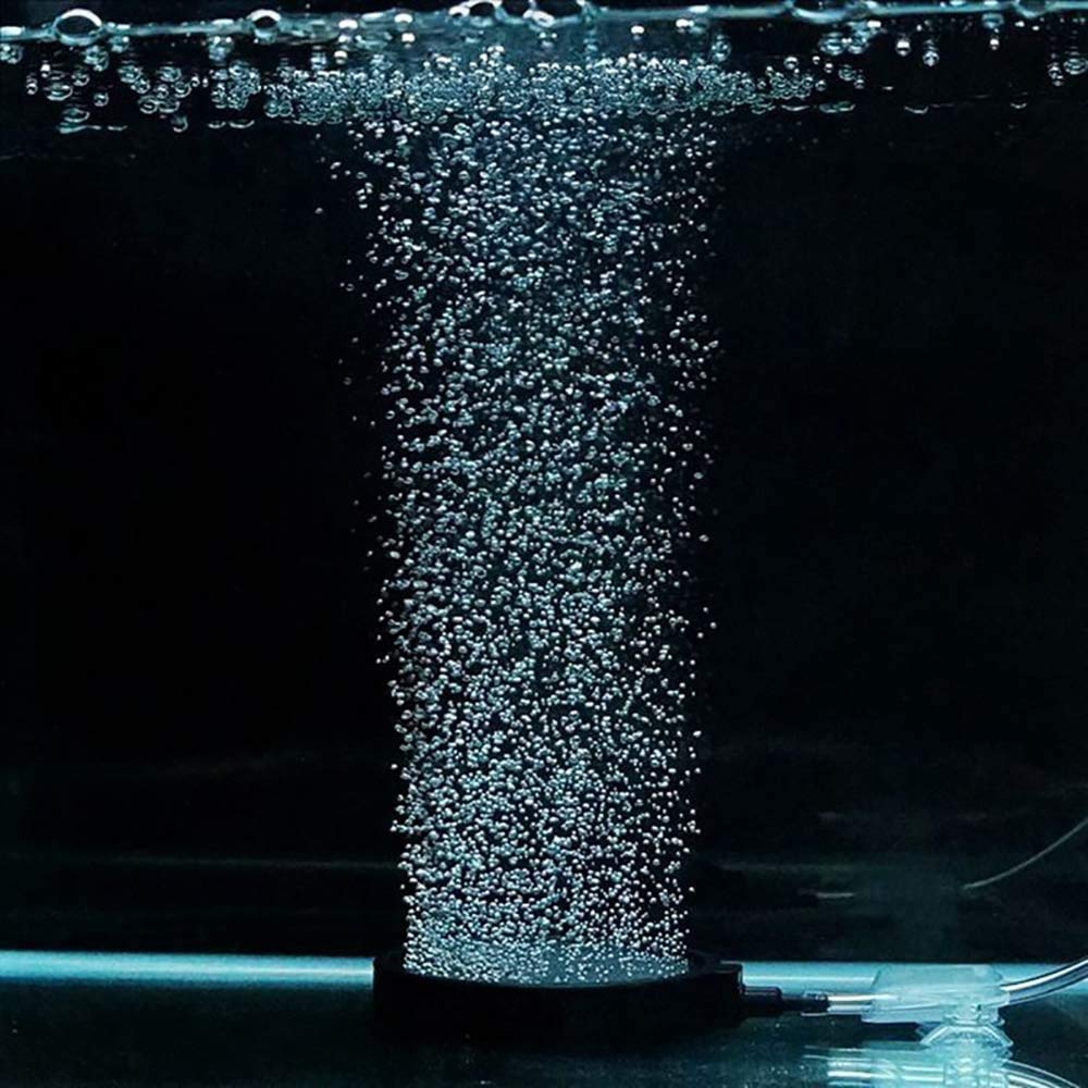 PINVNBY decorative airstone enhances tank aesthetics with shimmering bubbles