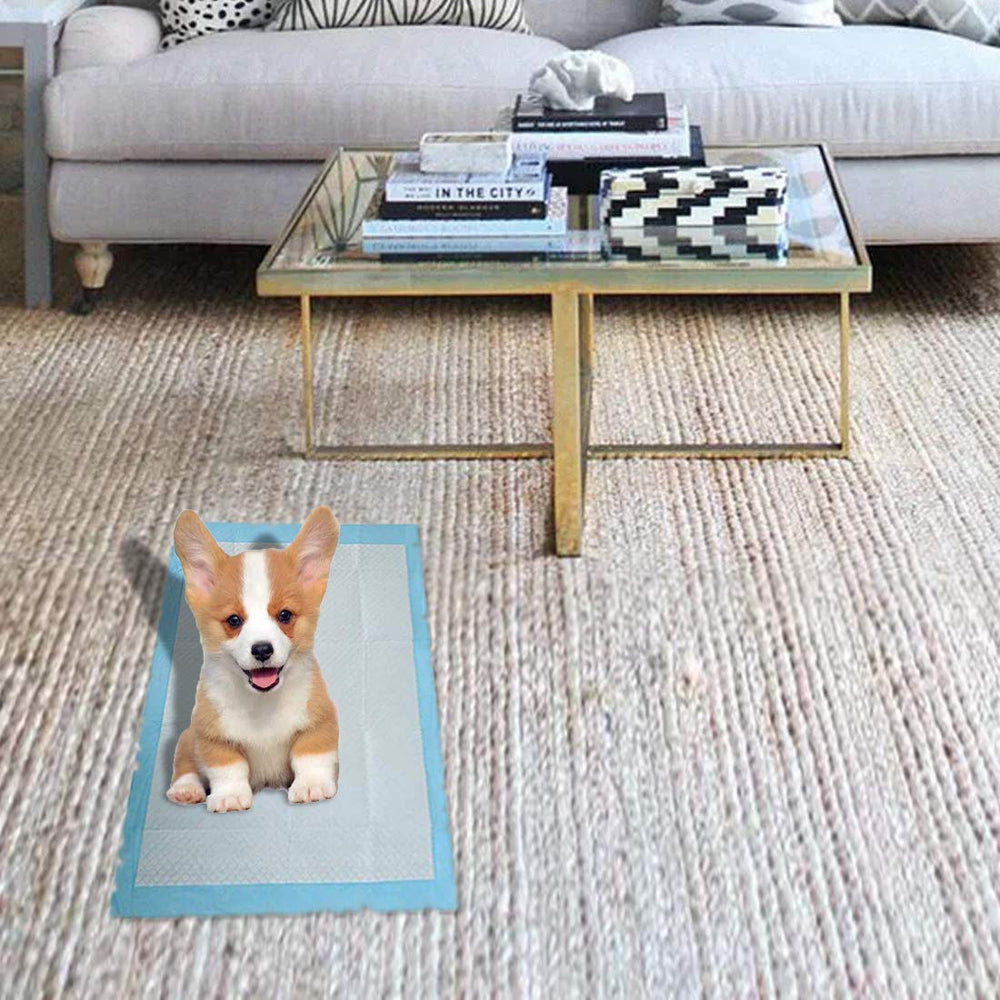 PINVNBY-deodorization-feature helps reduce odors in pet areas.